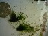  ( - GWS023092)  @11 [ ] Unspecified (default): All Rights Reserved  Unspecified Unspecified