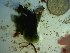  ( - GWS023295)  @11 [ ] Unspecified (default): All Rights Reserved  Unspecified Unspecified