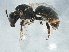  ( - BIOUG02492-D03)  @13 [ ] CreativeCommons - Attribution (2013) CBG Photography Group Centre for Biodiversity Genomics
