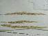  ( - iB34)  @11 [ ] Unspecified (default): All Rights Reserved  Unspecified Unspecified