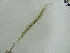  ( - iB50)  @11 [ ] Unspecified (default): All Rights Reserved  Unspecified Unspecified