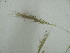  ( - iB53)  @11 [ ] Unspecified (default): All Rights Reserved  Unspecified Unspecified