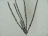  ( - iB78)  @11 [ ] Unspecified (default): All Rights Reserved  Unspecified Unspecified