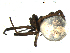  ( - BIOUG00633-E01)  @12 [ ] Copyright  G. Blagoev 2011 Unspecified