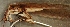 ( - JMH816)  @12 [ ] Unspecified (default): All Rights Reserved  Unspecified Unspecified
