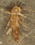  ( - JMH824)  @11 [ ] Unspecified (default): All Rights Reserved  Unspecified Unspecified