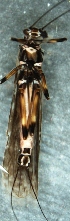  ( - JMH660)  @12 [ ] Unspecified (default): All Rights Reserved  Unspecified Unspecified