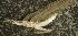  ( - JMH884)  @12 [ ] Unspecified (default): All Rights Reserved  Unspecified Unspecified