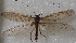  ( - AN08 000242)  @11 [ ] Unspecified (default): All Rights Reserved  Unspecified Unspecified