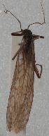  ( - AN08 000268)  @11 [ ] Unspecified (default): All Rights Reserved  Unspecified Unspecified