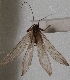  ( - AN08 000272)  @11 [ ] Unspecified (default): All Rights Reserved  Unspecified Unspecified