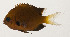  ( - AUST-216)  @11 [ ] CreativeCommons  Attribution Non-Commercial (by-nc) (2013) Unspecified Smithsonian Institution National Museum of Natural History