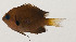  ( - AUST-221)  @11 [ ] CreativeCommons  Attribution Non-Commercial (by-nc) (2013) Unspecified Smithsonian Institution National Museum of Natural History