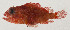  ( - AUST-576)  @11 [ ] CreativeCommons  Attribution Non-Commercial (by-nc) (2013) Unspecified Smithsonian Institution National Museum of Natural History