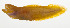  ( - AUST-116)  @11 [ ] CreativeCommons  Attribution Non-Commercial (by-nc) (2013) Unspecified Smithsonian Institution National Museum of Natural History