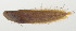  ( - AUST-118)  @11 [ ] CreativeCommons  Attribution Non-Commercial (by-nc) (2013) Unspecified Smithsonian Institution National Museum of Natural History