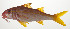  ( - AUST-089)  @11 [ ] CreativeCommons  Attribution Non-Commercial (by-nc) (2013) Unspecified Smithsonian Institution National Museum of Natural History