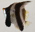  ( - AUST-377)  @11 [ ] CreativeCommons  Attribution Non-Commercial (by-nc) (2013) Unspecified Smithsonian Institution National Museum of Natural History