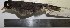  ( - MHNSM MUSM-Orn-12805)  @11 [ ] Copyright (2014) Unspecified Museo de Historia Natural