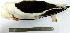  ( - MUSM-Orn-01144)  @11 [ ] CreativeCommons - Attribution Non-Commercial Share-Alike (2017) Unspecified Universidad Nacional Mayor de San Marcos, Museo de Historia Natural