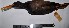  ( - MUSM-Orn-01409)  @11 [ ] CreativeCommons - Attribution Non-Commercial Share-Alike (2017) Unspecified Universidad Nacional Mayor de San Marcos, Museo de Historia Natural