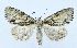  ( - AV-0023-Noct.)  @13 [ ] No Rights Reserved (2011) A.V. Volynkin Unspecified