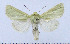  ( - AV-0024-Noct.)  @13 [ ] No Rights Reserved (2011) A.V. Volynkin Unspecified