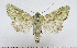  ( - AV-0027-Noct.)  @13 [ ] No Rights Reserved (2011) A.V. Volynkin Unspecified