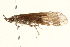  ( - 09AVMTT-001)  @14 [ ] CreativeCommons - Attribution (2009) Unspecified Centre for Biodiversity Genomics