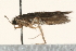  ( - 09AVMTT-023)  @12 [ ] CreativeCommons - Attribution (2009) Unspecified Centre for Biodiversity Genomics