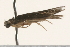  ( - 09AVMTT-046)  @12 [ ] CreativeCommons - Attribution (2009) Unspecified Centre for Biodiversity Genomics