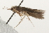  ( - 09AVMTT-054)  @12 [ ] CreativeCommons - Attribution (2009) Unspecified Centre for Biodiversity Genomics