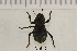  ( - AWC-07590)  @12 [ ] CreativeCommons - Attribution Non-Commercial Share-Alike (2010) Tim Whittier Arizona Western College