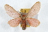  ( - JLB-0264)  @14 [ ] CreativeCommons - Attribution (2009) Unspecified Centre for Biodiversity Genomics
