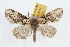 ( - JLB-0276)  @14 [ ] CreativeCommons - Attribution (2009) Unspecified Centre for Biodiversity Genomics