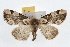  ( - JLB-0277)  @14 [ ] CreativeCommons - Attribution (2009) Unspecified Centre for Biodiversity Genomics