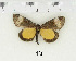  ( - AWC-01426)  @14 [ ] Unspecified (default): All Rights Reserved  Unspecified Unspecified