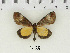  ( - AWC-01429)  @14 [ ] Unspecified (default): All Rights Reserved  Unspecified Unspecified