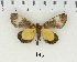  ( - AWC-01435)  @13 [ ] Unspecified (default): All Rights Reserved  Unspecified Unspecified