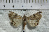 ( - AWC-07252)  @12 [ ] CreativeCommons - Attribution Non-Commercial Share-Alike (2010) Tim Whittier Arizona Western College