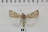 ( - AWC-08002)  @13 [ ] CreativeCommons - Attribution Non-Commercial Share-Alike (2010) Tim Whittier Arizona Western College