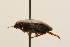  ( - 09PROBE-02477)  @12 [ ] CreativeCommons - Attribution (2009) Unspecified Centre for Biodiversity Genomics