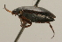  ( - 09PROBE-02497)  @13 [ ] CreativeCommons - Attribution (2009) Unspecified Centre for Biodiversity Genomics