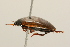  ( - 09PROBE-02501)  @13 [ ] CreativeCommons - Attribution (2009) Unspecified Centre for Biodiversity Genomics