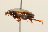  ( - 09PROBE-02509)  @13 [ ] CreativeCommons - Attribution (2009) Unspecified Centre for Biodiversity Genomics