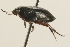  ( - 09PROBE-02526)  @13 [ ] CreativeCommons - Attribution (2009) Unspecified Centre for Biodiversity Genomics