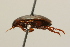  ( - 09PROBE-02540)  @12 [ ] CreativeCommons - Attribution (2009) Unspecified Centre for Biodiversity Genomics