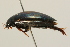  ( - 09PROBE-02548)  @13 [ ] CreativeCommons - Attribution (2009) Unspecified Centre for Biodiversity Genomics