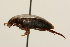  ( - 09PROBE-02561)  @12 [ ] CreativeCommons - Attribution (2009) Unspecified Centre for Biodiversity Genomics