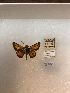  ( - LEP-79378)  @11 [ ] No Rights Reserved  Unspecified Unspecified